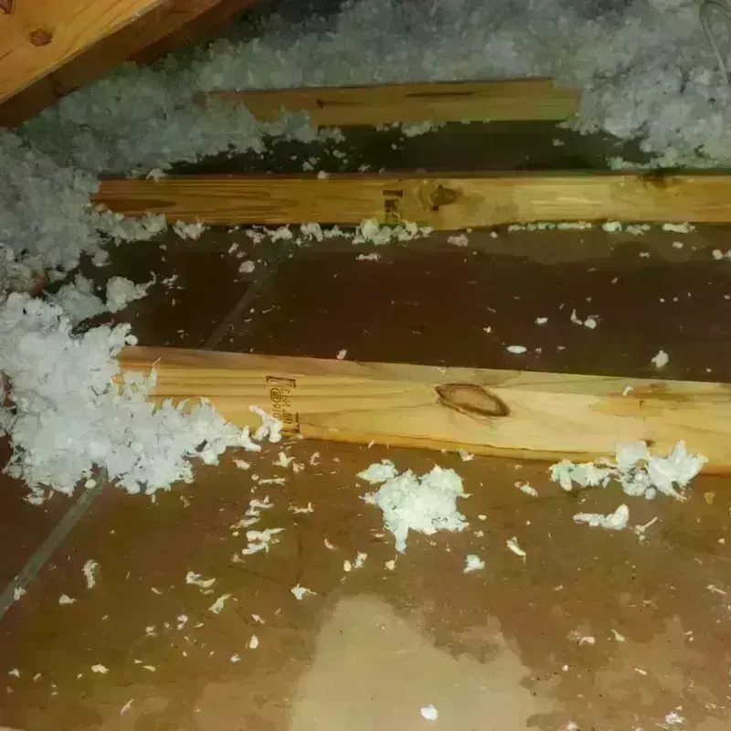 Attic Water Damage in Seabrook, TX